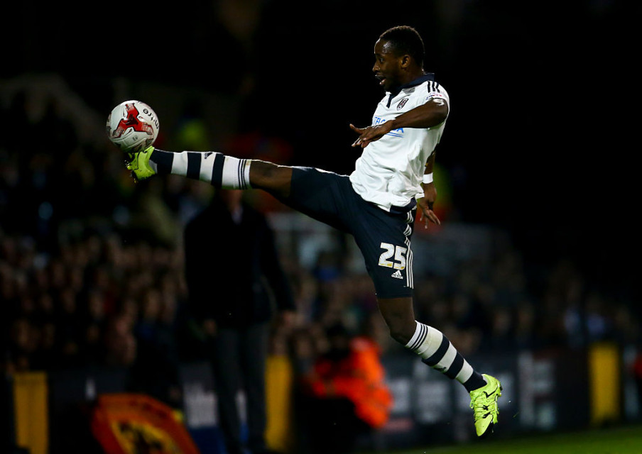 Fulham v Wolverhampton Wanderers - Sky Bet Football League Championship Jordan Mansfield/Getty Images Sport