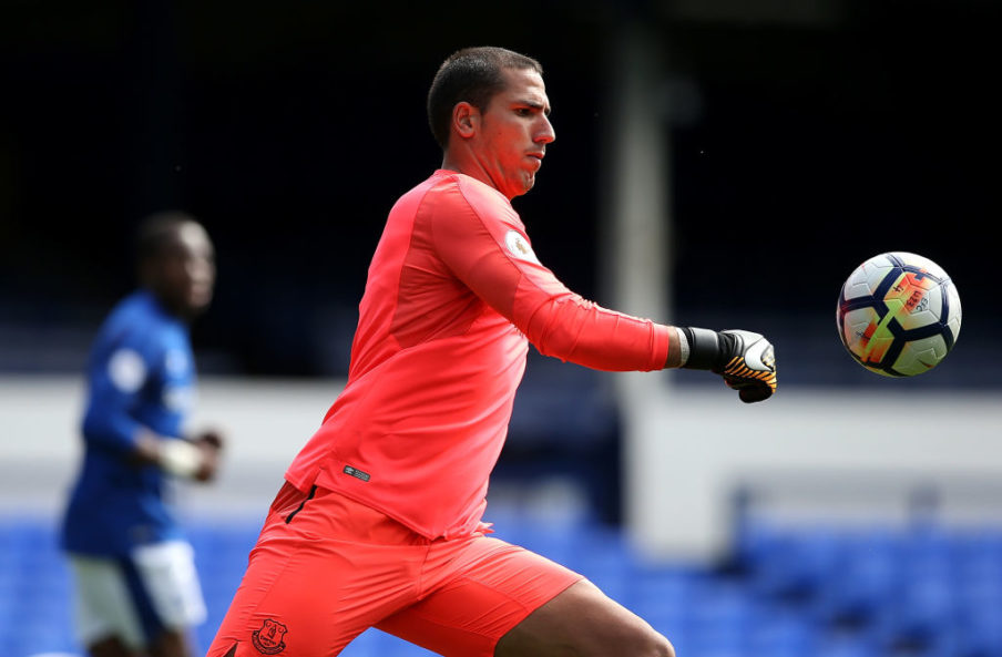 Everton v Tottenham Hotspur - Premier League 2 Jan Kruger/Getty Images Sport