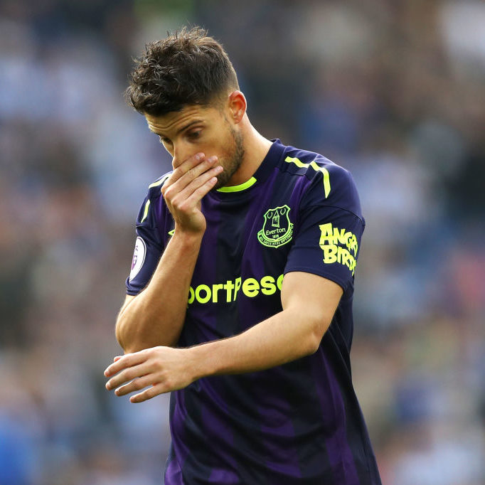 Brighton and Hove Albion v Everton - Premier League Dan Istitene/Getty Images Sport
