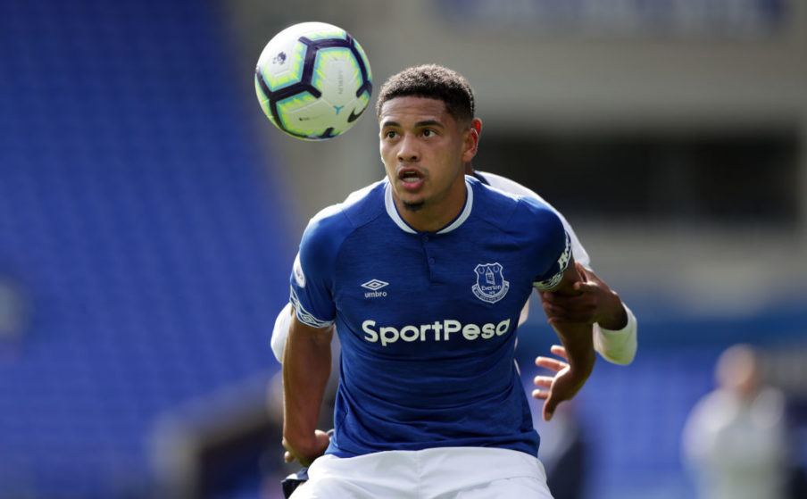 Everton v Tottenham Hotspur - Premier League 2 Lynne Cameron/Getty Images Sport