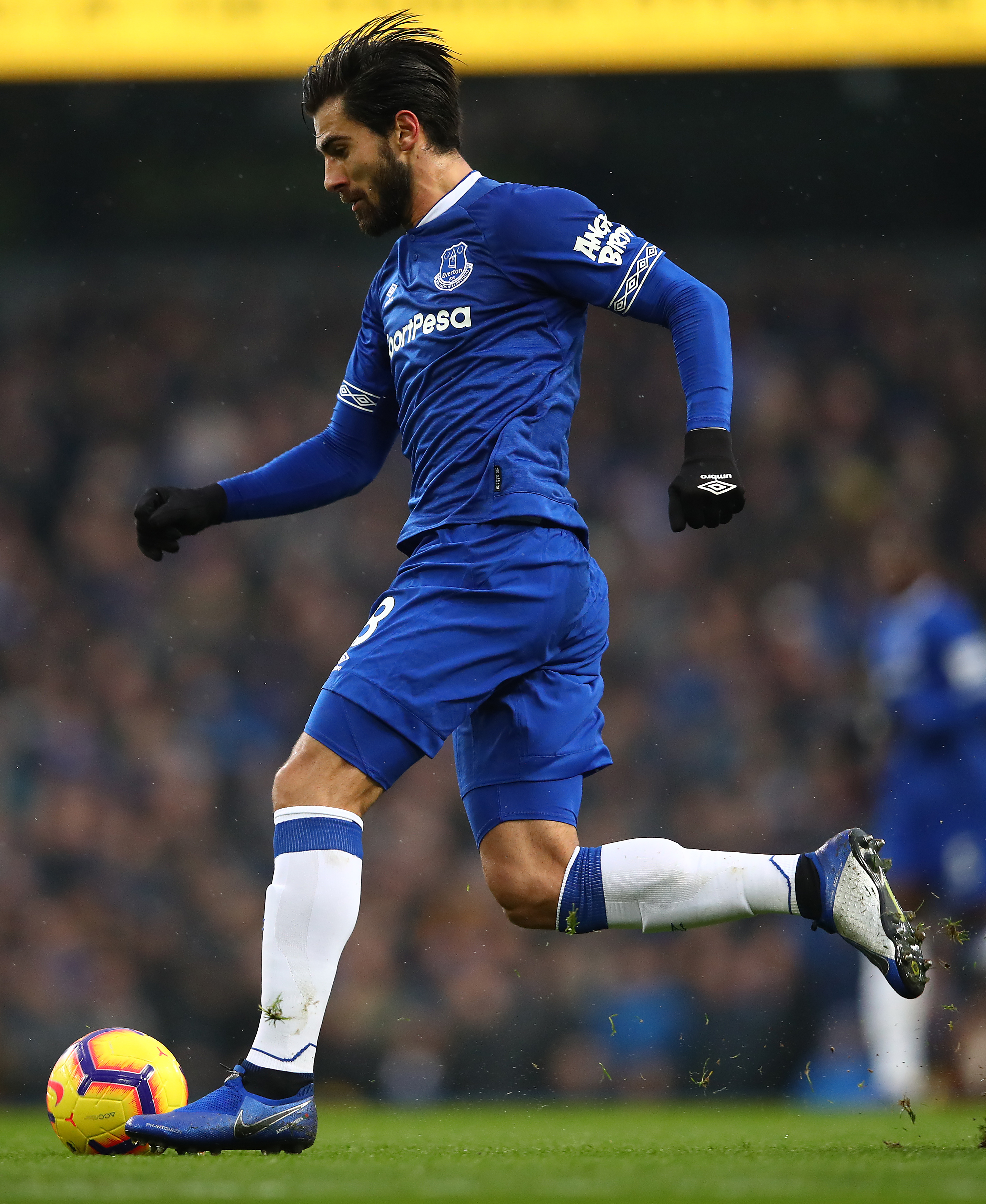Manchester City v Everton FC - Premier League Clive Brunskill/Getty Images Sport