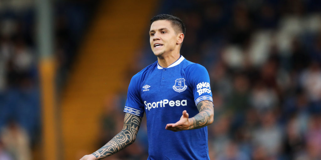 Fulham set to make £5m Besic offer – should Everton sell?