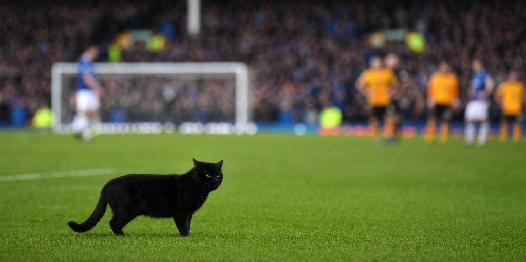 Everton v Wolves – Alex’s XI