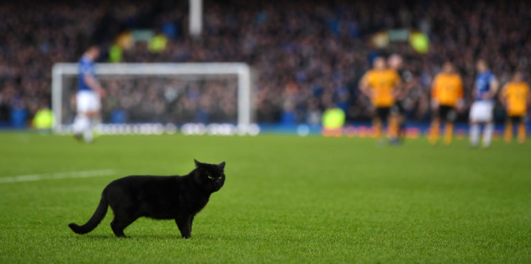 Everton v Wolves – Alex’s XI