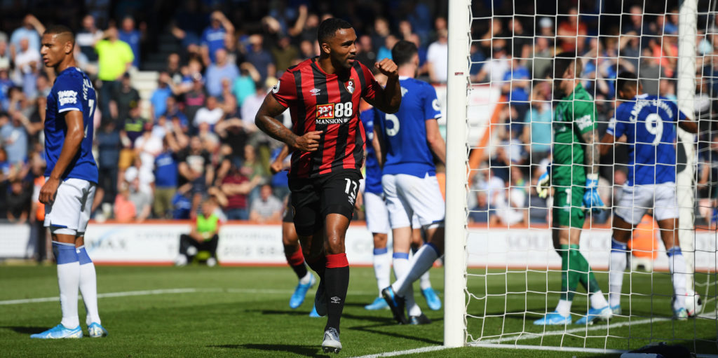 Wilson brace helps Cherries defeat Everton