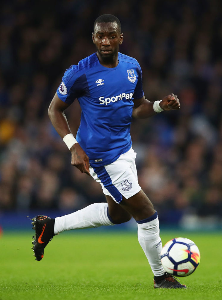 Everton v Newcastle United - Premier League Clive Brunskill/Getty Images Sport