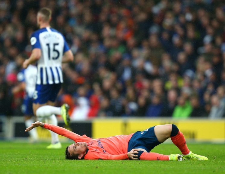 Brighton & Hove Albion v Everton FC - Premier League Charlie Crowhurst/Getty Images Sport