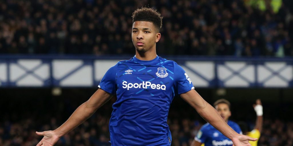 Holgate and Mina are Everton’s best defensive pairing claim fans