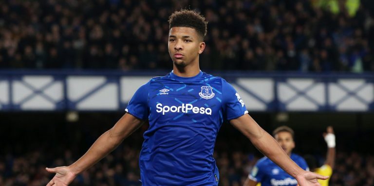 Holgate and Mina are Everton’s best defensive pairing claim fans