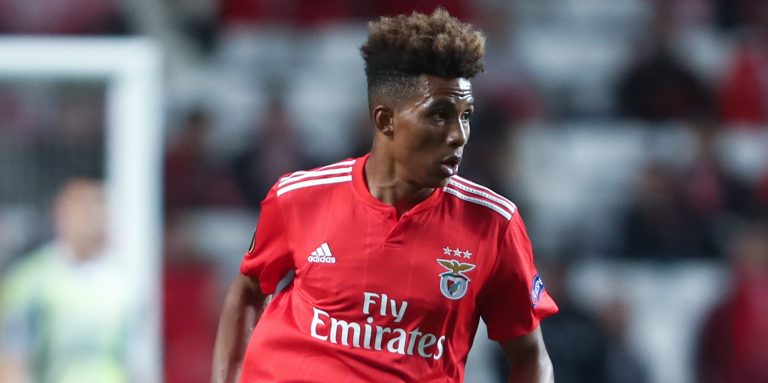 Everton fans buzzing with club leading race for Benfica’s Fernandes