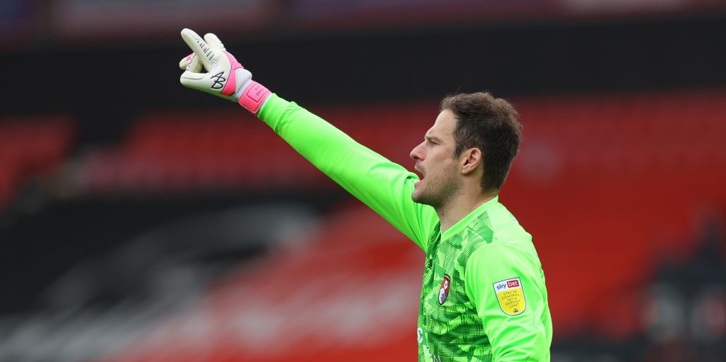 Alex McLeish Hails Everton Signing Asmir Begovic