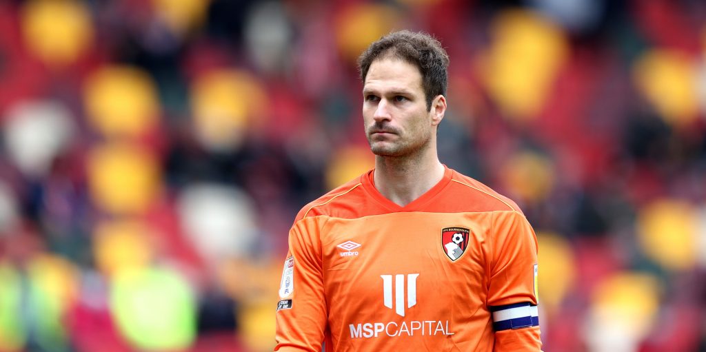 Virals: Everton Looking At Asmir Begovic on Free Transfer