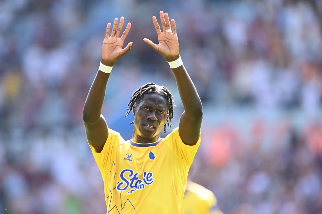Amadou Onana in action for Everton