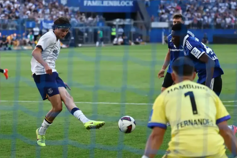 Röhl strike and Torunarigha own goal seal Everton win in Hamburg