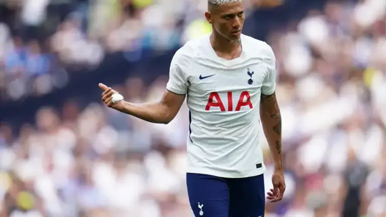 Richarlison Everton return failure a shame, says Tim Sherwood