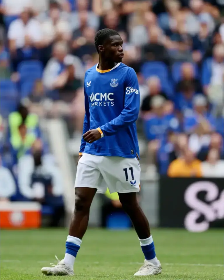 Everton 1-0 Ipswich: Barry goal extends Blues’ unbeaten run